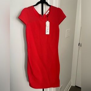 Gorgeous Parker Dress. Vibrant color. Textured soft fabric with capped sleeves